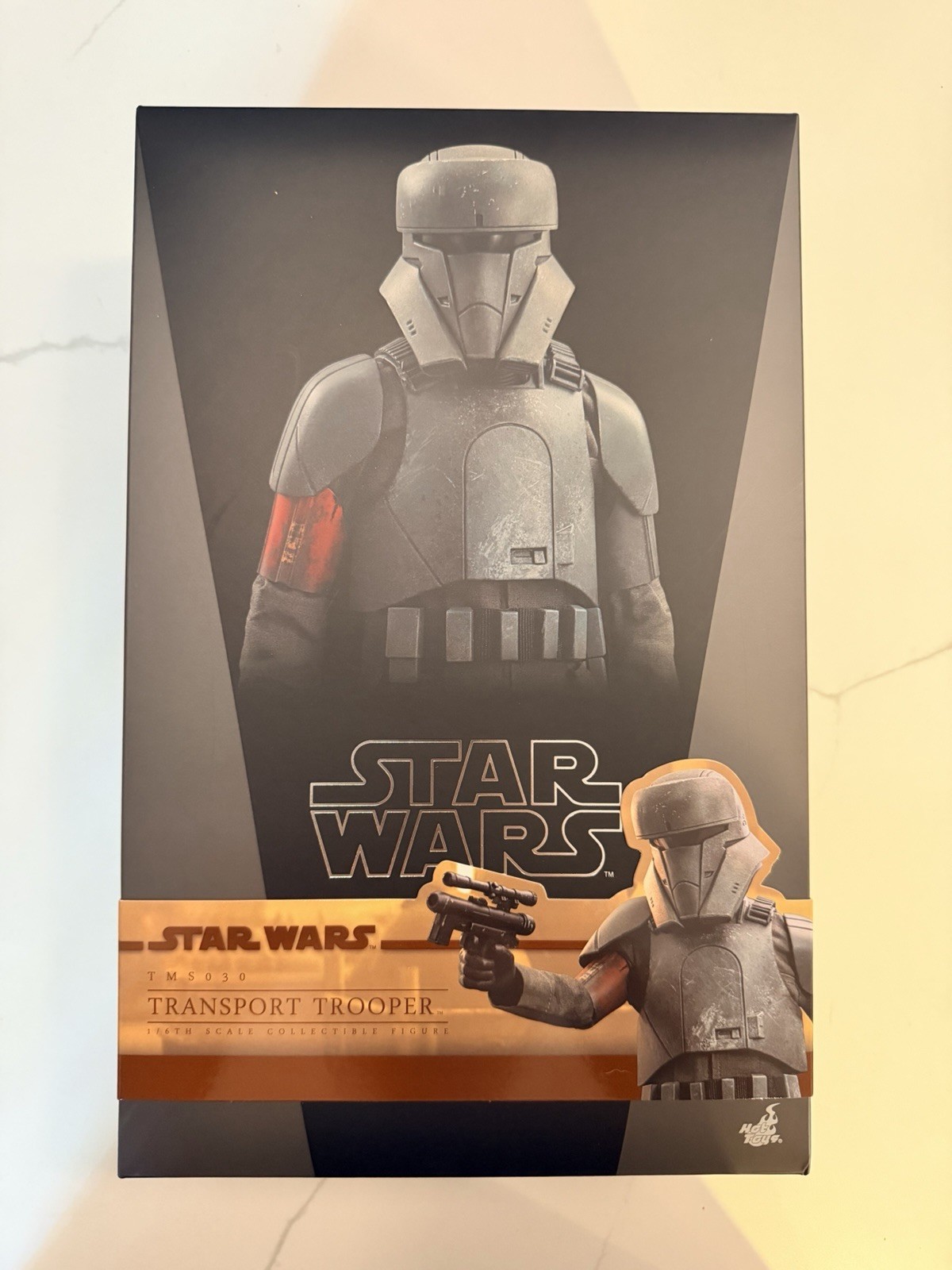 Hot Toys 1/6 Star Wars Transport Trooper TMS030