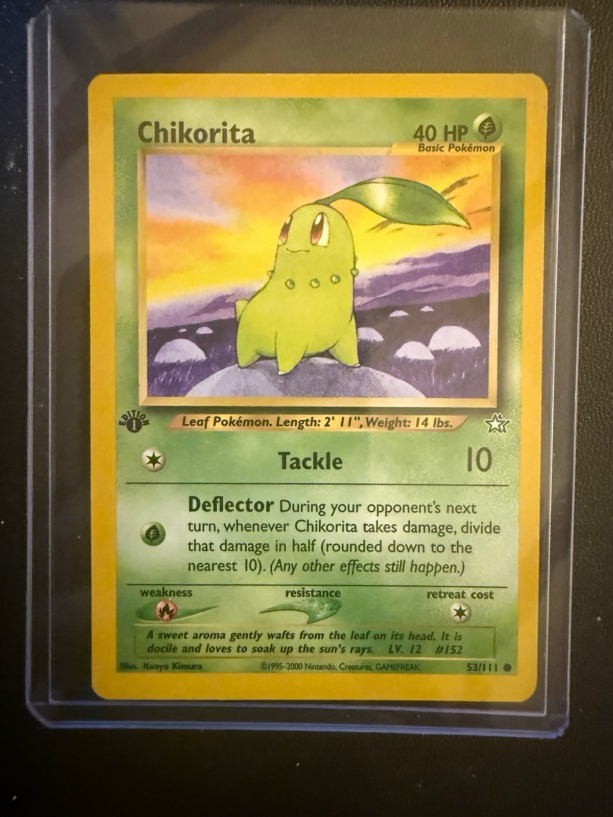 Carta Pokémon TCG Chikorita 1° Edizione Prima Edizione n.53/111 Inglese