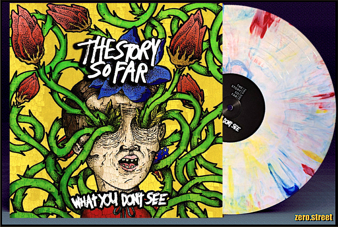 THE STORY SO FAR What You Don't See LP on COLOR VINYL New SEALED Crayon Marble