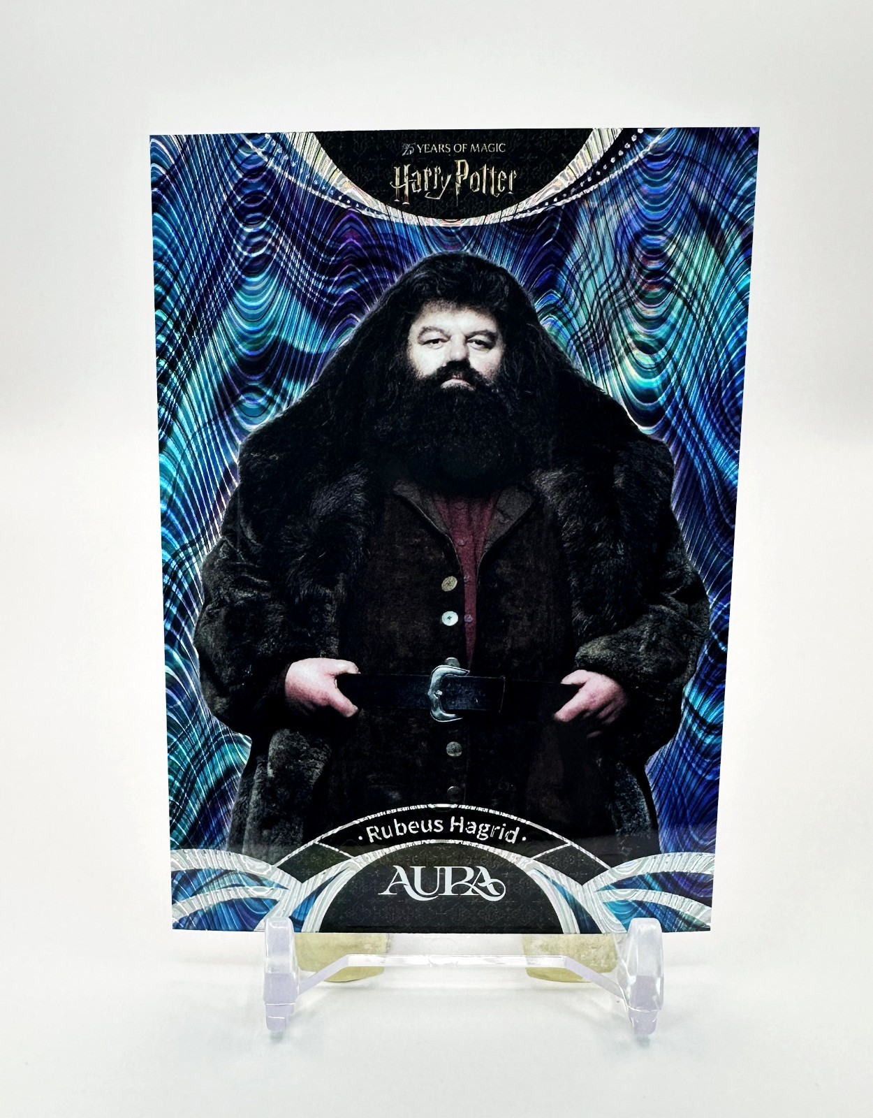 2026 Kakawow Harry Potter 25° Anniversario #AHP-WF-06 (Cascata) RUBEUS HAGRID