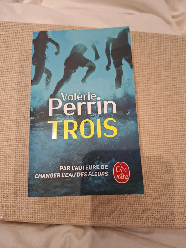 Livre Valérie Perrin