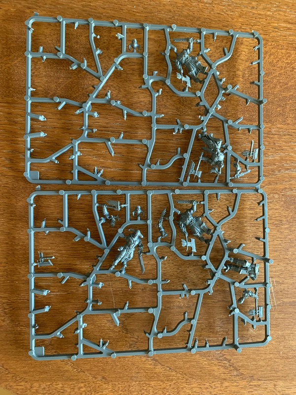 Warhammer chaos maraudeurs x5