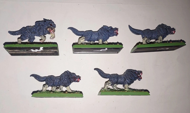 5 Dire Wolves con Paladin Pintados