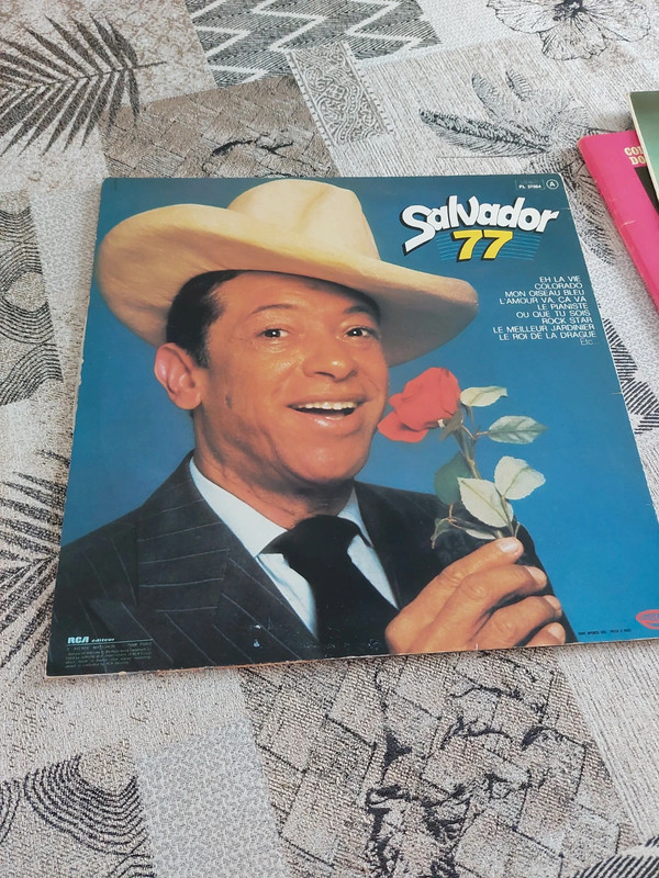 Salvador disque 77 eh la vie