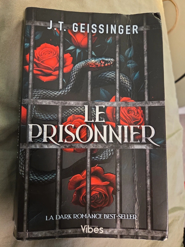 Roman "Le prisonnier "
