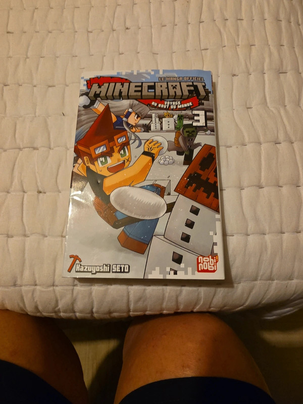 Minecraft Fr T3