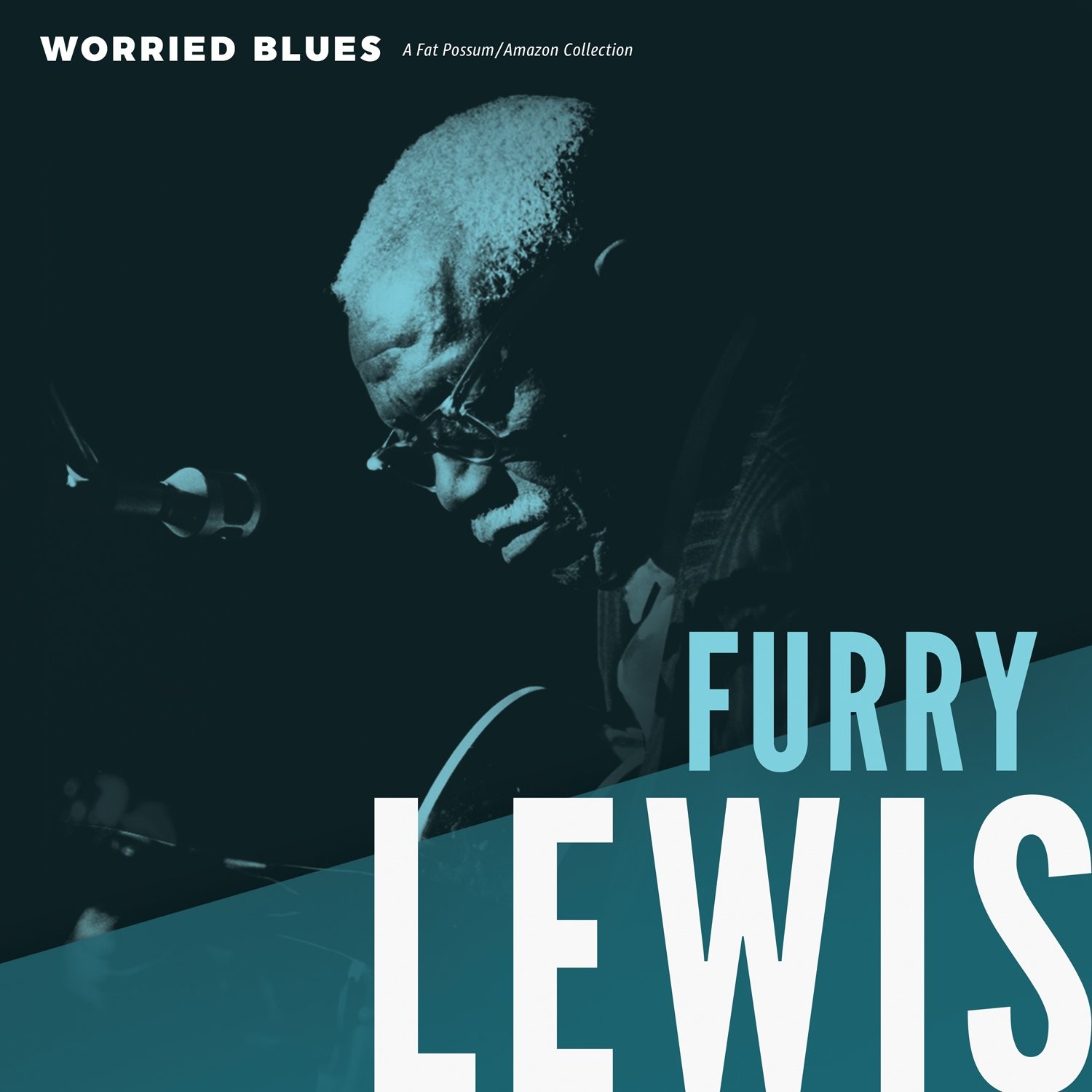 Furry Lewis - Worried Blues - Vinyl - New