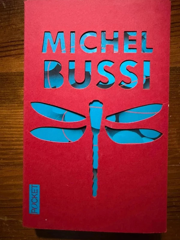 Roman Un avion sans elle de Michel Bussi, édition Pocket.