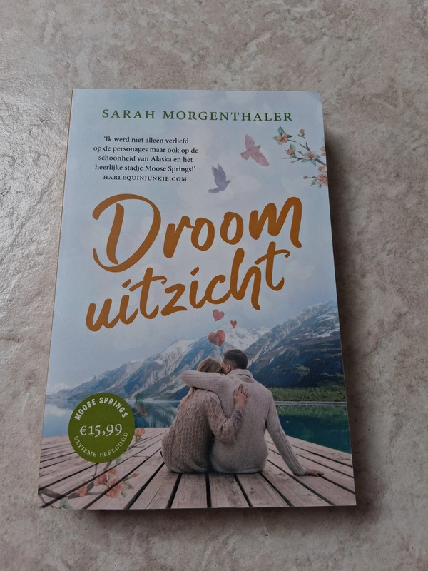 Droom uitzicht (Sarah Morgenthaler) leuk boek voor bij het zwembad te lezen