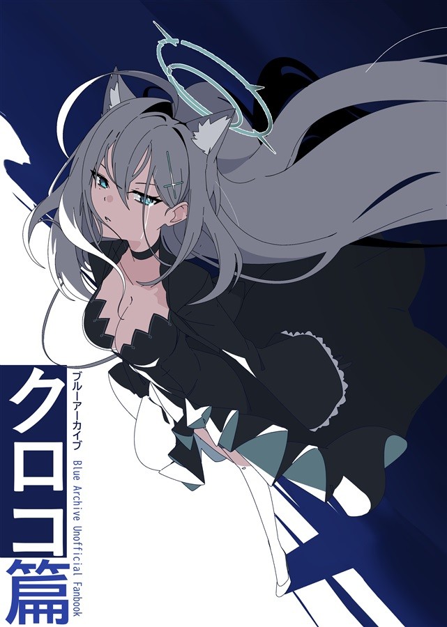 Blu Archivio Saki Sorai GOONPATROL i211 Doujinshi 44p C108