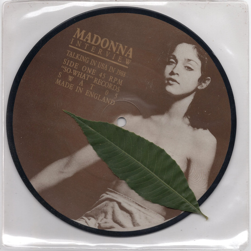 Madonna Interview Picture Disc 7” Talking In USA