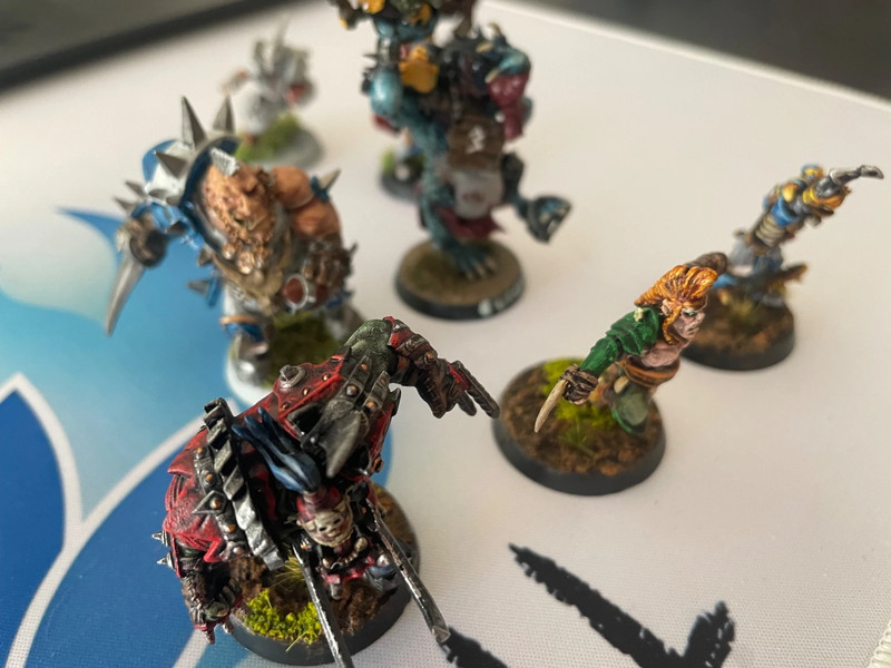 Lot star players pour blood bowl warhammer.