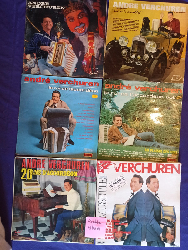 Lot 12 Disques vinyles 6 33trs (dont 2 doubles albums) et 4 45trs