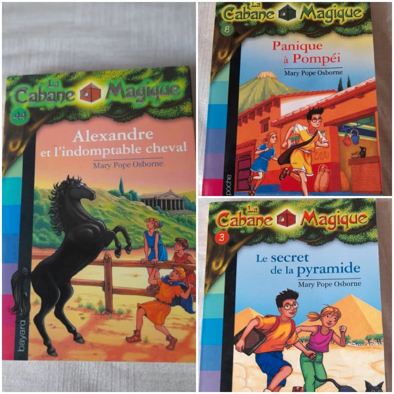 Lot de 3 livres de la Cabane Magique