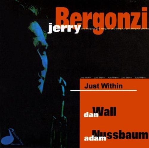 JERRY BERGONZI - Just Within - CD - **Mint Condition**