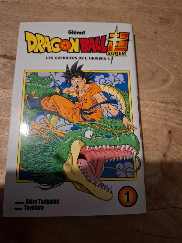 Livre dragon ball 1