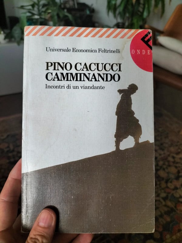 Libro Camminando - P.Cacucci