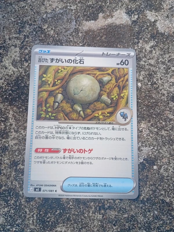 Carte pokémon japonaise 071/081