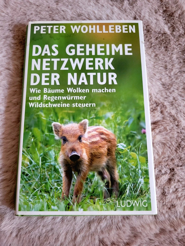 Buch Peter Wohlleben Das geheime Netzwerk der Natur