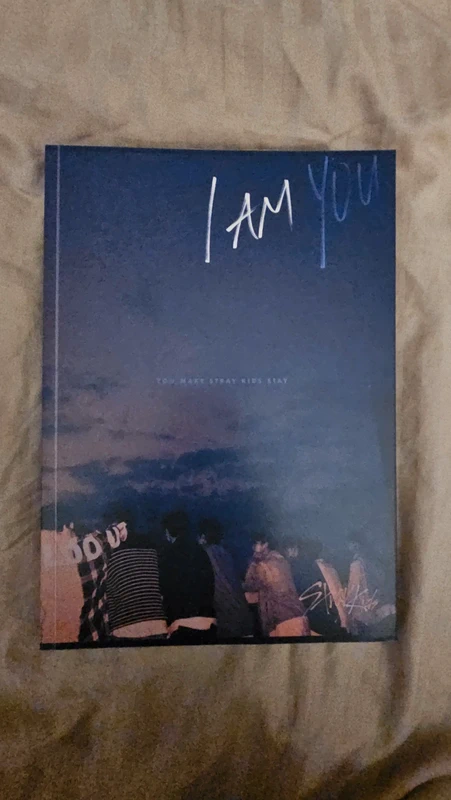 Stray Kids I'm you