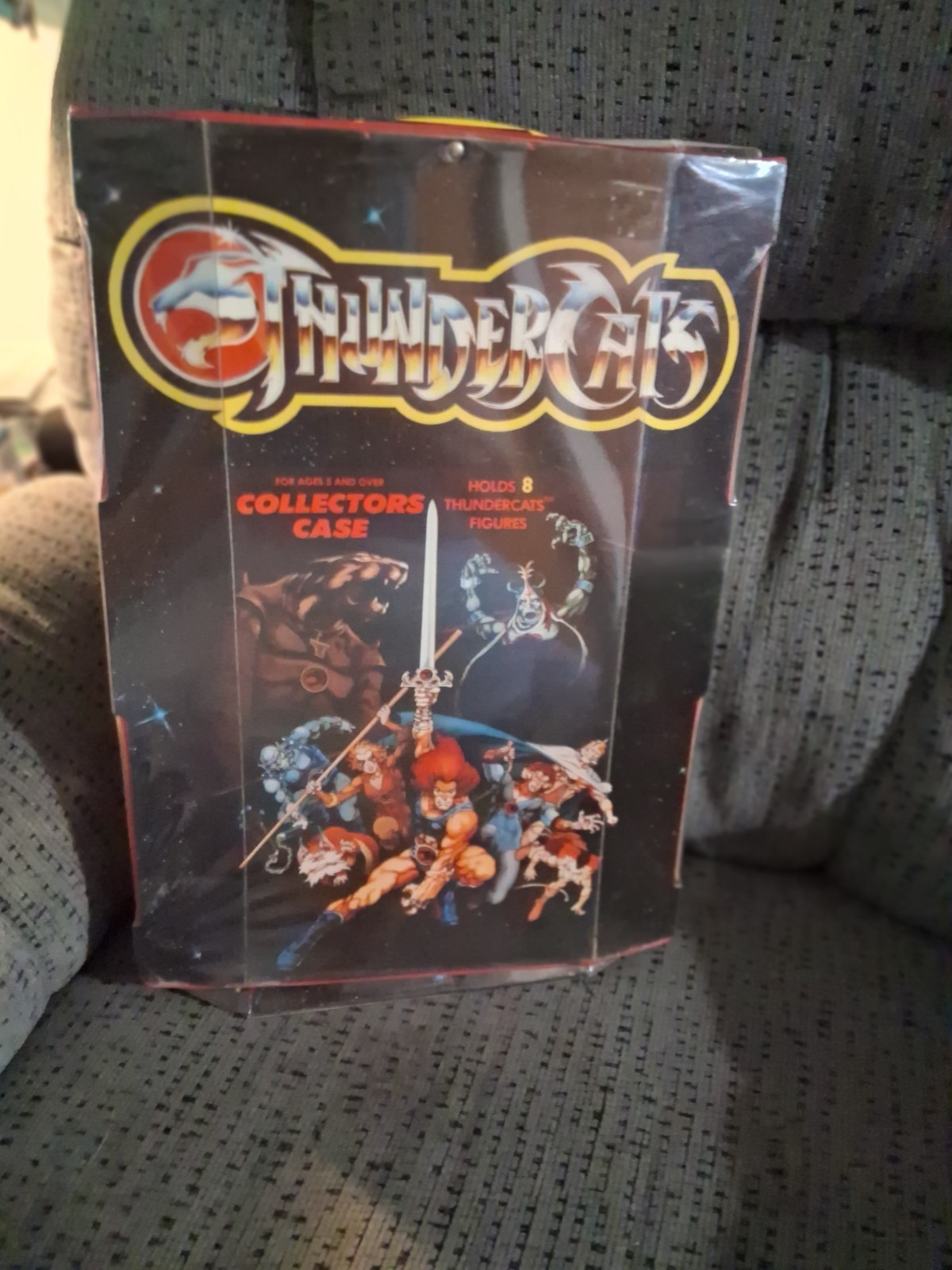 Custodia da trasporto Thundercats