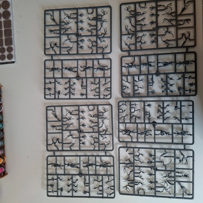 16 dryads
