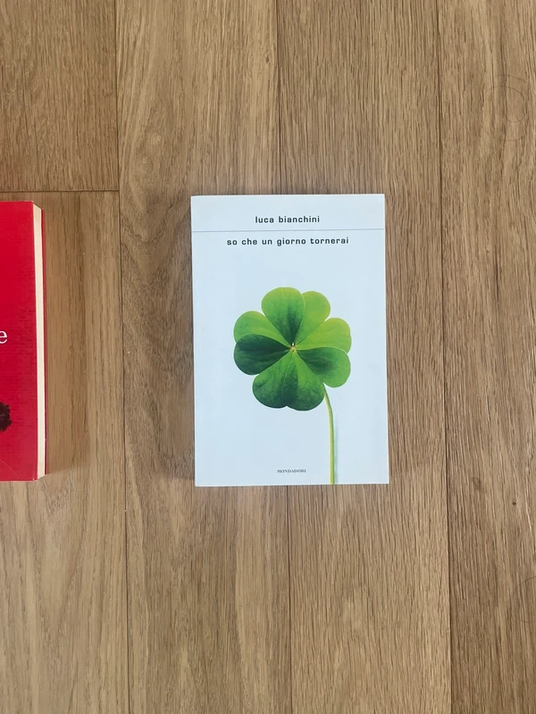 Libro Bianchini - “So che un giorno tornerai”