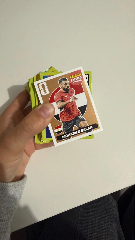 Paquet de panini