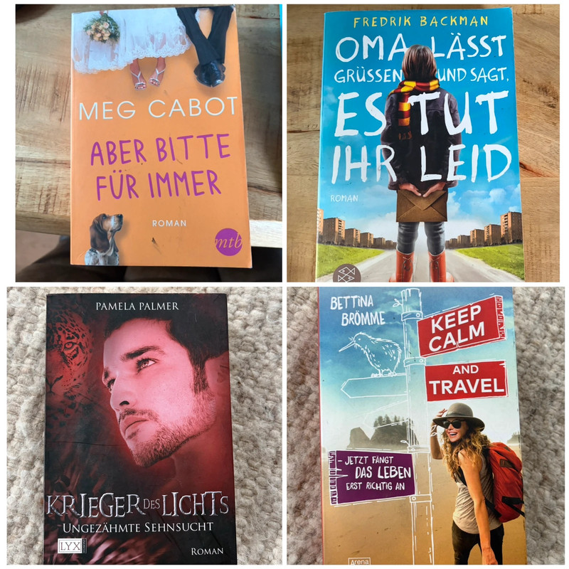 4 Romane Buchpaket / Set (Meg Cabot, Fredrik Backman, Lyx u.a.)
