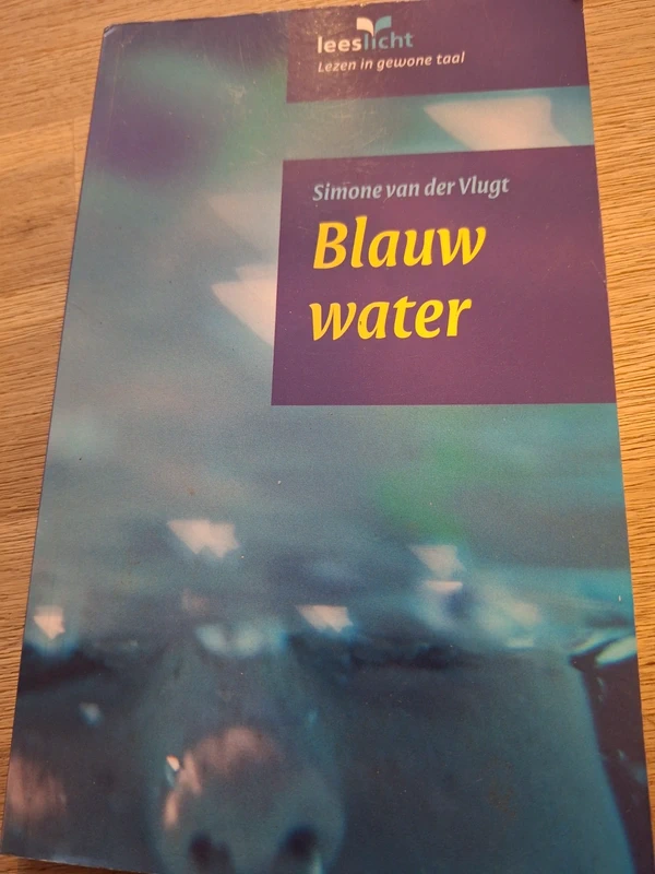Simone van der vlug Blauw water