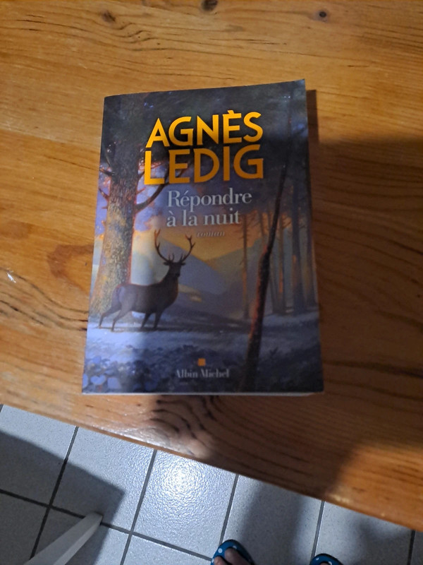Répondre à la nuit