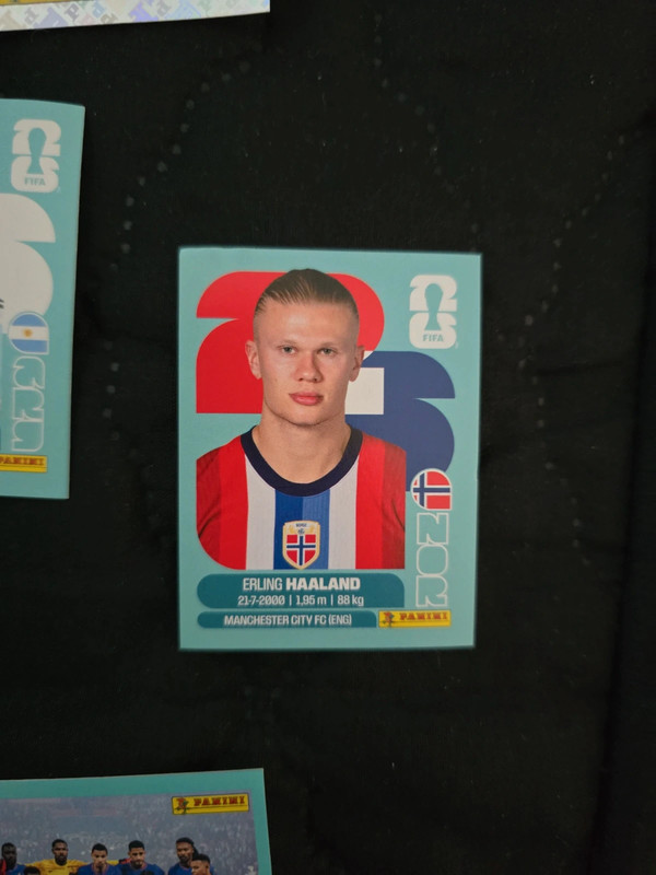Nor 15 Haarland panini