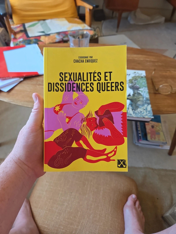 Sexualités et dissidences queers