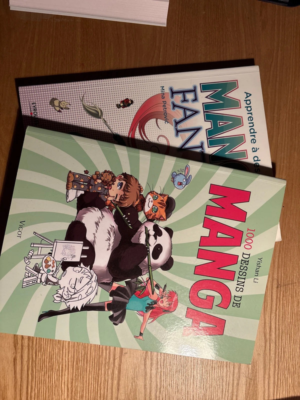 Lot livre pour apprendre à dessiner les mangas