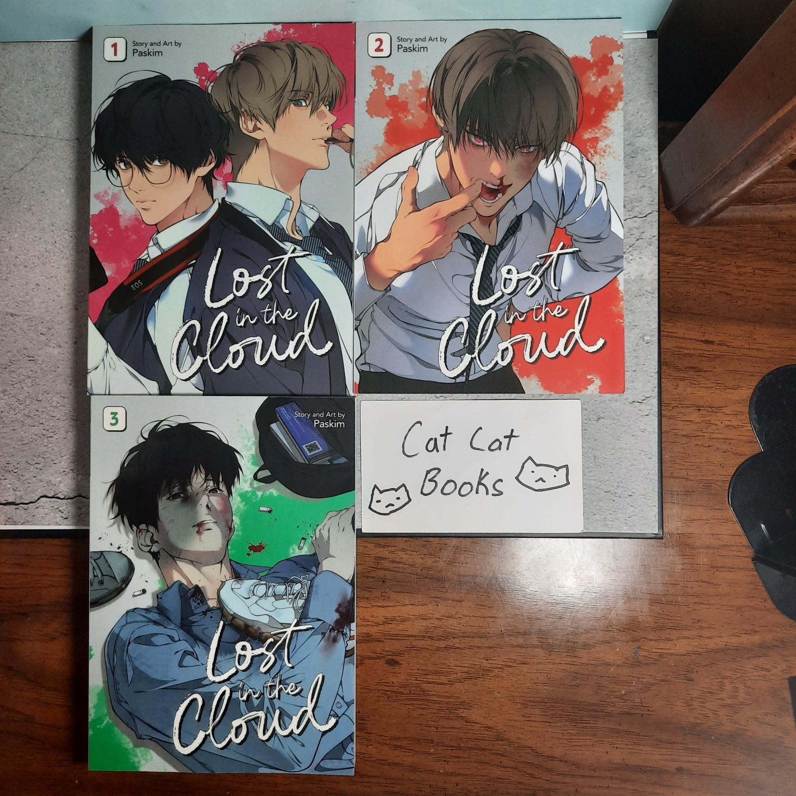 📚 Lost in the Cloud Vol. Pacchetto 1-3 manga inglesi ufficiali di Paskim Yaoi