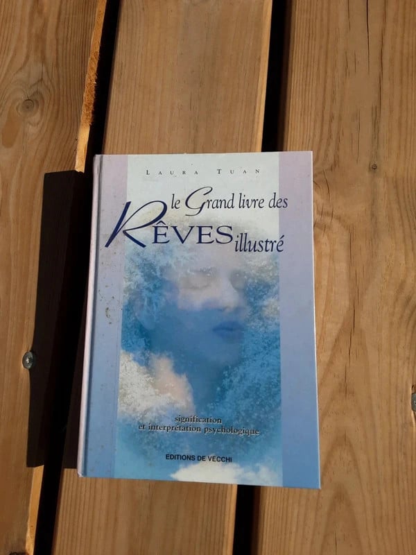 Livre Le Grand livre des Rêves illustré - Laura Tuan (Éditions De Vecchi)
