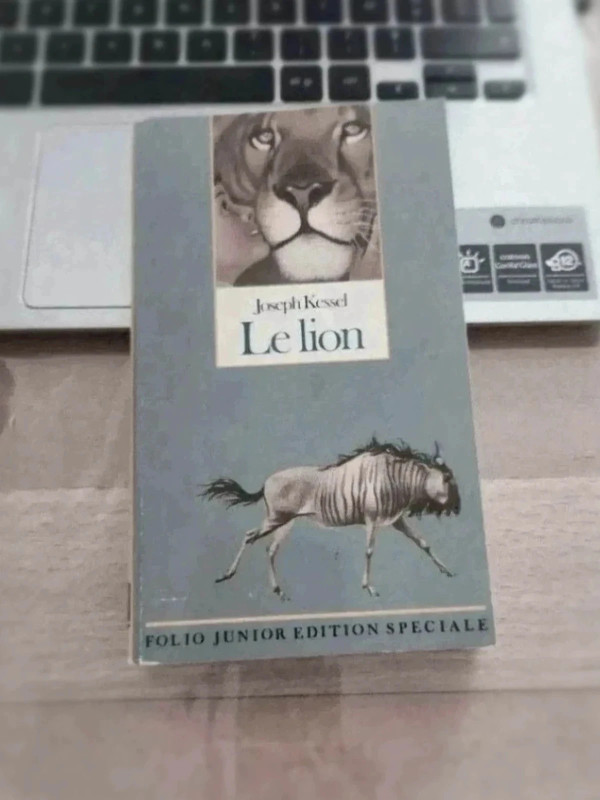 Le lion