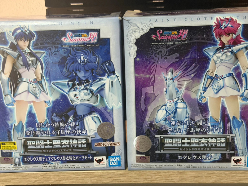 Pack Equuleus Kyoko + Equuleus Shoko (Saintia Sho)