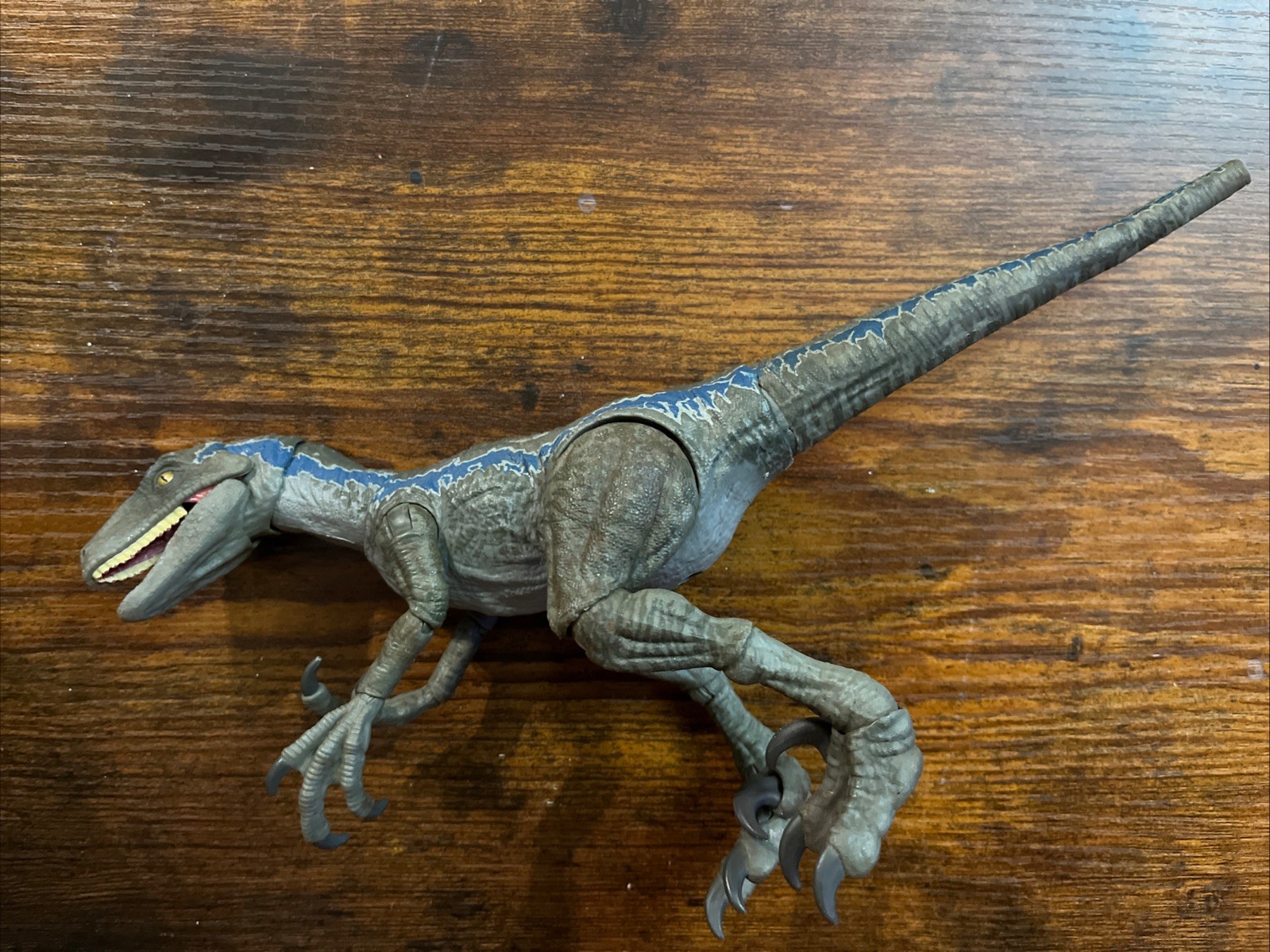 Jurassic World Hammond Collection Modellino Velociraptor Blu Sciolto LEGGI