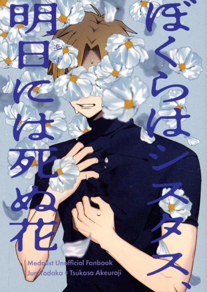 Sistus Girl's Doujinshi BL Romanzo 176p Libretto Animazione Manga [Età 13+]