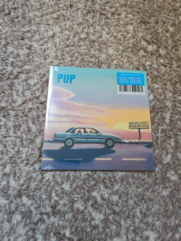 Vinyle pup who will look After the dogs