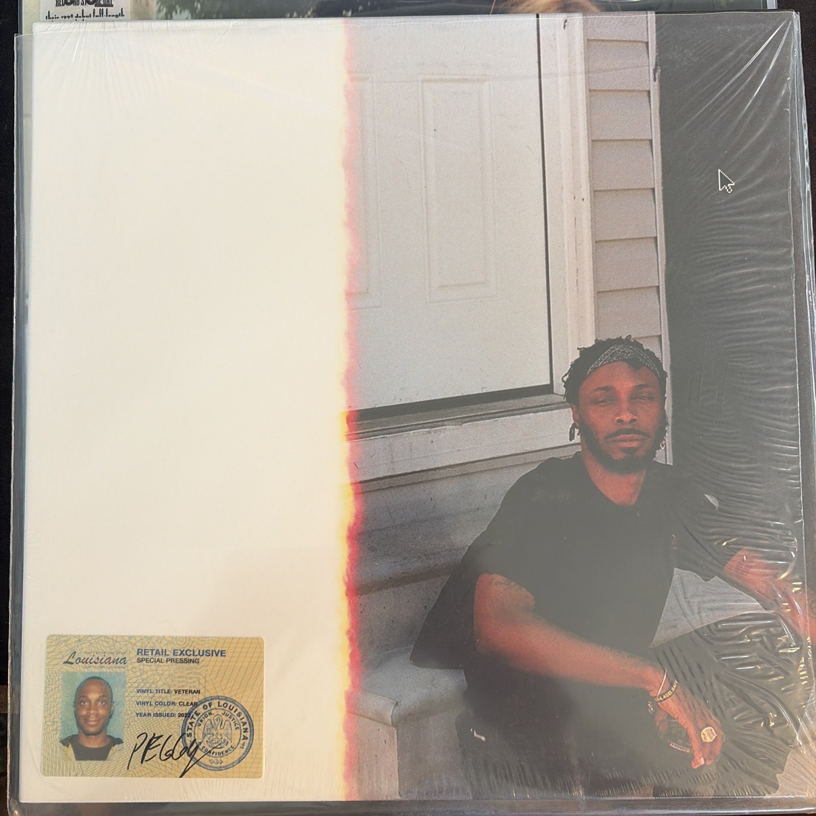 Veteran by Jpegmafia (Record, 2024) Read Description