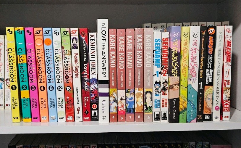 Lotto Manga Casuali Leggi Desc