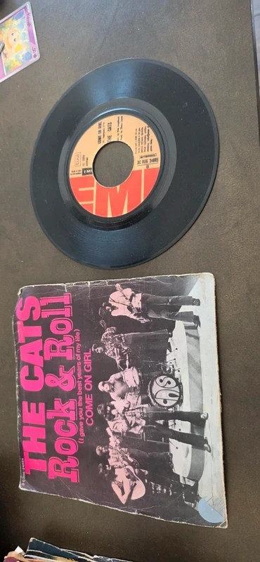 The Cats 45 giri