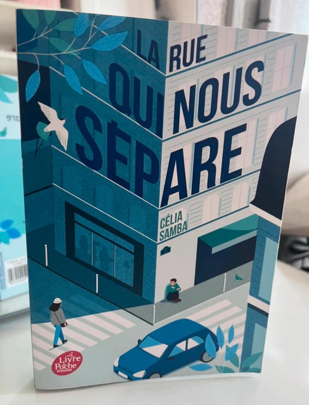 Magnifique et touchant livre la rue qui nous sépare