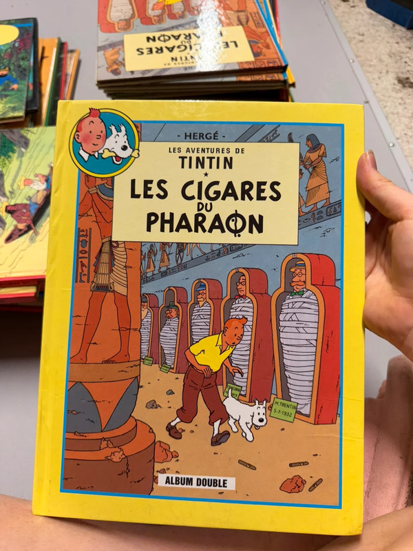 Album double tintin