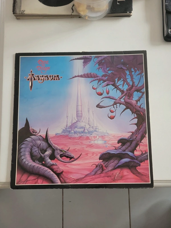 Vinyle MAGNUM   33 tours
