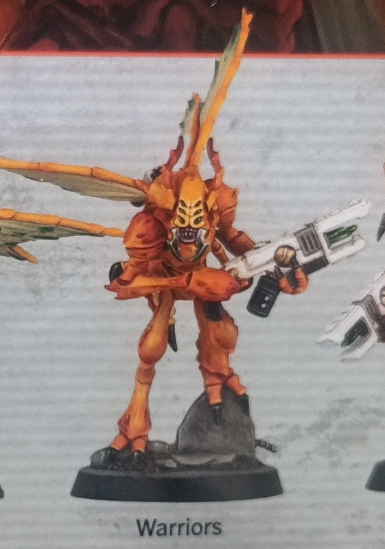 Kill team Frelon Vespides ( Guerrier )