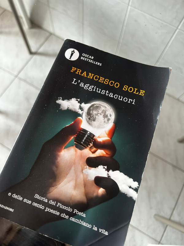 Libro Francesco sole