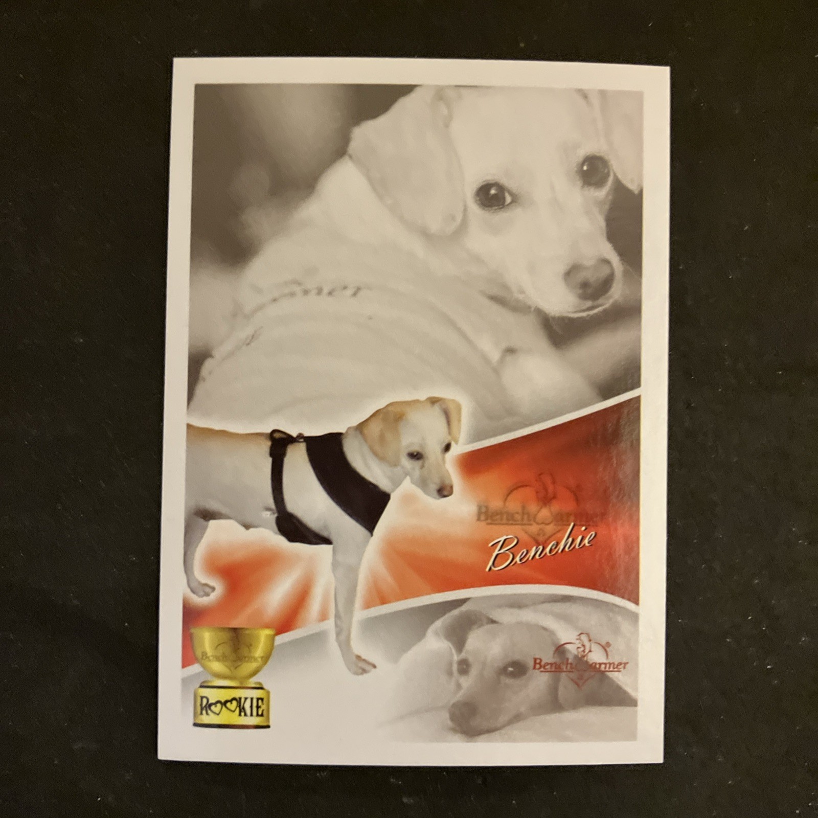 2013 Bench Warmer Bubble Gum   - #110 - Benchie